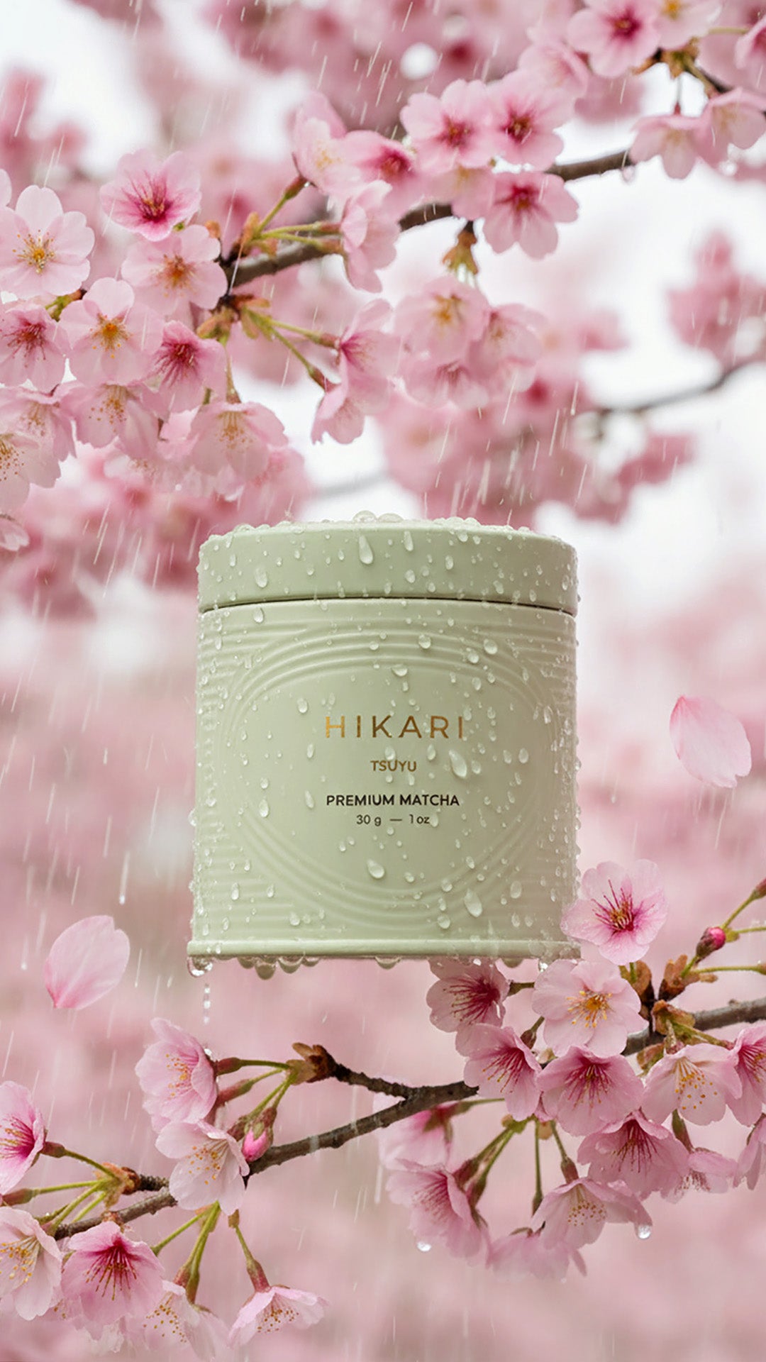 Organic Premium Matcha Powder - TSUYU Yame Spring 2025 | HIKARI – Hikari